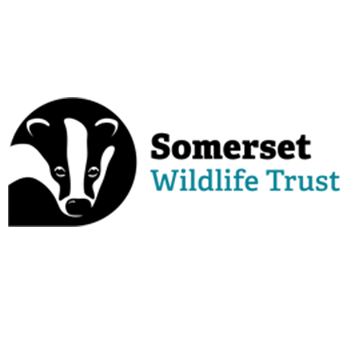 Somerset Wildlife Trust Logo