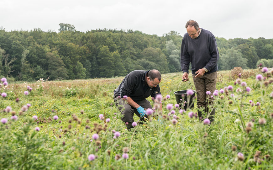 Wiltshire Bat Group volunteers in a field