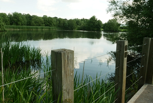 Backwell lake