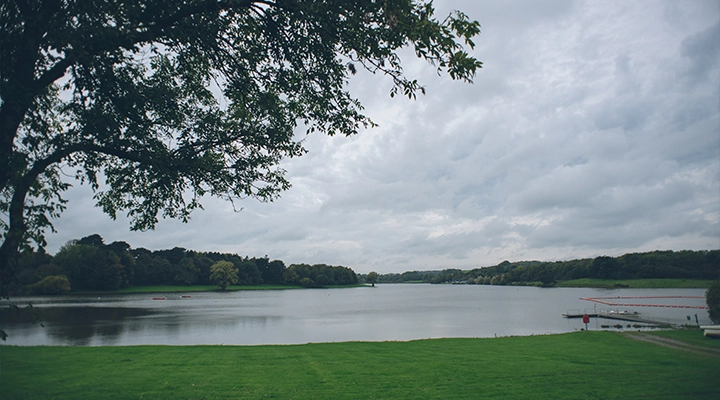 View of Sutton Bingham reservoir with a tree